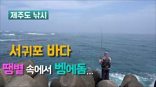 〔4K〕서귀포 보목방파제//Seafishing in Jeju-do Island