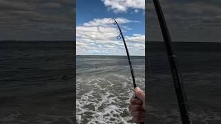 A tip to help you catch striped bass during the daytime this fall!