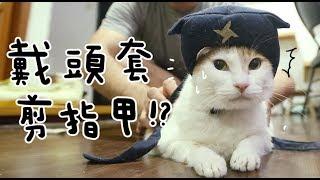 【黃阿瑪的後宮生活】聽說戴頭套剪指甲很OK？