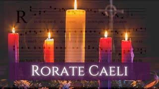 Rorate Caeli - Gregorian Chant | Hope in darkness