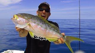 Yellowtail Snapper- Biggest I've EVER SEEN!!! (catch clean cook) Plus Monster Permit