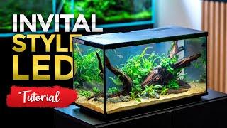 How to set up an aquarium - INVITAL Style | INVITAL