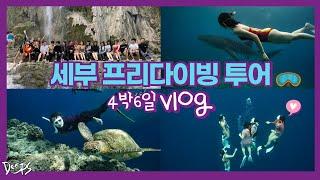 세부 프리다이빙 투어 VLOG 4박 6일 스케치 딥스 DEEPS 동호회