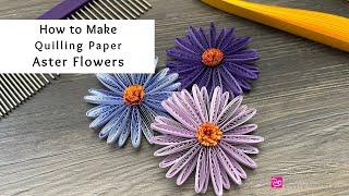 How to Make Quilling Paper Aster Flowers | Quilling for Beginners