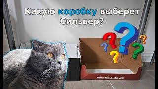 Какую коробку выберет Сильвер?