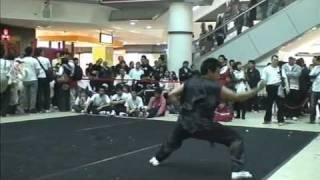 LIONFEST 2010: International Southern Shaolin Wushu Academy