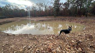 Everyone Thought We Made A Big Mistake With Our Pond Build But Did We?