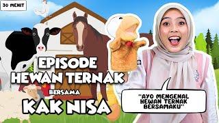 Belajar dan Bermain Episode Hewan Ternak Untuk Balita -  Belajar Bicara, Lagu Interaktif Balita