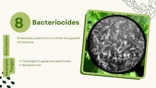 Comprehensive Guide to Pesticide and Agro-Chemical Groupings: Types and Uses Explained