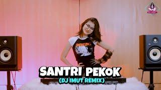 DJ SANTRI PEKOK VIRAL!!! (DJ IMUT REMIX)