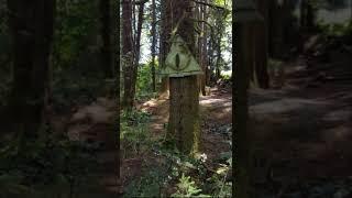 The Bill Cipher Statue's Original Hat was STOLEN!