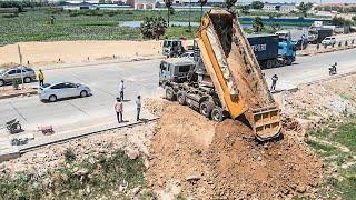 Excellent Technique New Project Skills Operator Dump Truck Moving Dirt Power Dozer Pushing