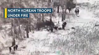 North Korean troops clash with Ukrainian forces in assaults on Kursk