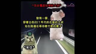 CAT MEMES - 貓貓迷因赶飞机#funny #cat