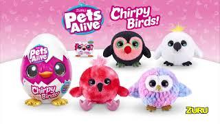 Unboxing: Pets Alive Chirpy Bird Surprise by Zuru