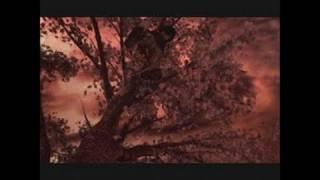Red Ninja: End of Honor PlayStation 2 Trailer - Trailer 2