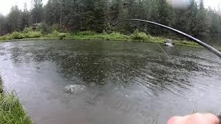 Deshutes river brown trout fishing in central Oregon 2019, rapala caught her.