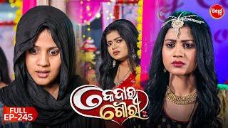 କେଦାର ଗୌରୀ | Kedar Gouri | Full Episode - 245 | Odia Mega Serial on Sidharth TV @8.30PM