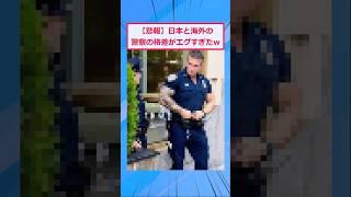 どっちの警察がええと思う？【2ch面白いスレ】