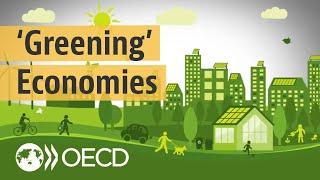 Sustainable Development: Why We Must Grow Green Economies