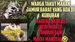 Tiap Hari Makan Enak!! Ini Yang Terjadi Daerahku Pas Musim Jamur Barat/Bulan