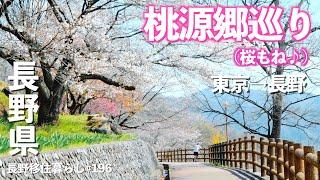 東京から長野へ最高の桃源郷と桜を見ながら帰るドライブルート!!｜桃源郷｜塩山｜笛吹市｜ドライブ｜田舎暮らし｜山梨県｜4K