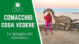 COMACCHIO: cosa vedere a Lido di Volano - Trekking alla spiaggia dei dinosauri