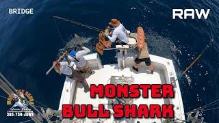 Monster Bull Shark RAW Bridge Mark the Shark 06/28/2023 @TheRealMarkTheShark @Thereelcrockett