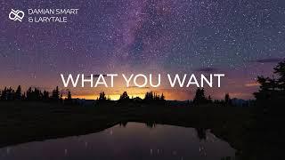 Damian Smart & Larytale - What You Want