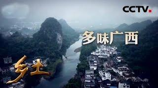 《乡土》 多味广西 走进广西的特色美食 20190704 | CCTV农业