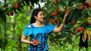 Full of Velvet apple tree made my family time more delicious again & again |Poorna - The nature girl
