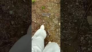 Thats all i want to tell you... Romantic couple message to send️