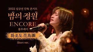 심규선 Concert Live - 화조도 花鳥圖 Short Ver.