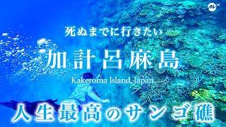 【保存版】加計呂麻島43歳ひとり旅。奄美の秘境が最高すぎた！おすすめ絶景スポット【鹿児島・奄美群島・離島・旅行・観光】