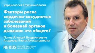 Факторы риска сердечно-сосудистых заболеваний и болезней органов дыхания: что общего?