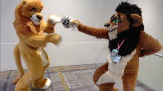 Anthro Northwest 6 (2024) - Mufasa & Scar The Lion King Fursuit Cosplay by Kitwana & Kijani Lion