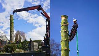 FELLING a spruce TREE at RISK with a CRANE | Episode#94