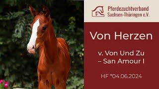 "Görlitzer Glanzstücke" - 07 HF Von Herzen v  Von Und Zu – San Amour I 1