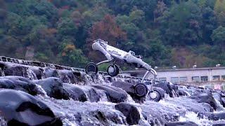 Better Than Boston Dynamics? Unitree B2 and B2 W Pushing Limits