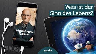 Was ist der Sinn des Lebens? | Podcast: Die Großen Fragen in 10 Minuten | MDR