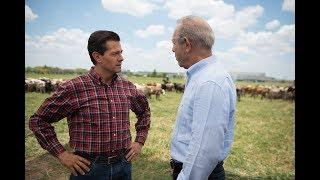 Rancho ganadero. 5to Informe Presidente Enrique Peña Nieto