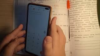 ВПР по русскому языку | 4 класс | Проверка