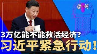 习近平紧急行动！3万亿能不能救活经济？很多人仍没信心 | #梁+何（409）