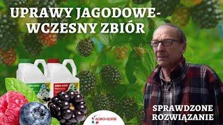 Uprawy jagodowe- wczesny zbiór-Polskie Aminokwasy Agrosorb - Radiculum, Folium - Opinia o produktach