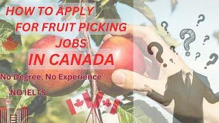 HOW TO APPLY FOR FRUIT PICKING JOBS IN CANADA#movetocanada