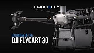 DJI FlyCart 30 - Overview | Dronefly