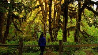 VanVentures visits Olympic National Park