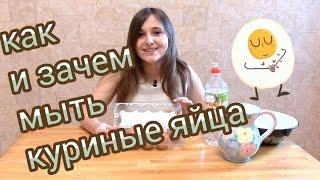 Как и зачем мыть куриные яйца