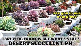 LAST VLOG FOR DESERT SUCCULENT PHILIPPINES 2023 || See you in our New Place & new Succulent Contents