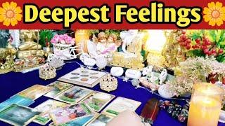 ️Deepest Feelings Next Action️All Signs Collective Timeless Tarot Reading